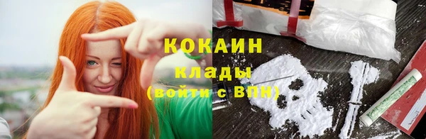 индика Абинск