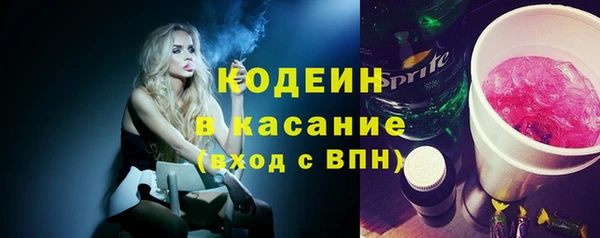 индика Абинск