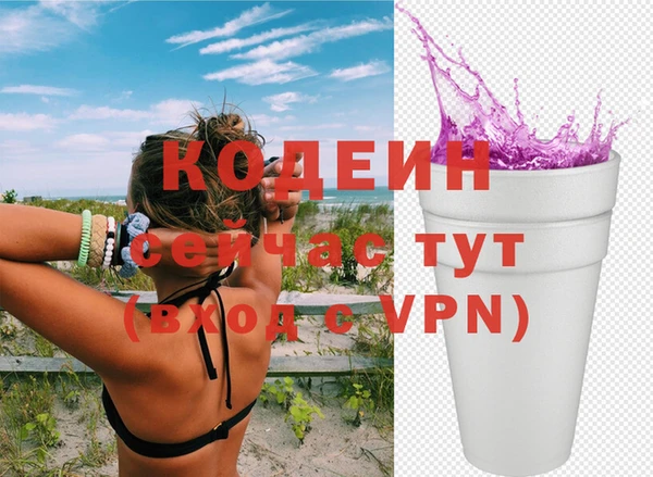 индика Абинск