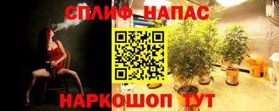 ешки Шебекино