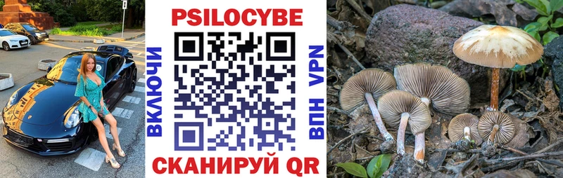 Галлюциногенные грибы прущие грибы  MEGA ссылка  Кандалакша 