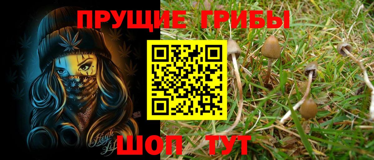 где продают наркотики  Вход с VPN  Кандалакша  Псилоцибиновые грибы Magic Shrooms  Псилоцибиновые грибы Psilocybe 