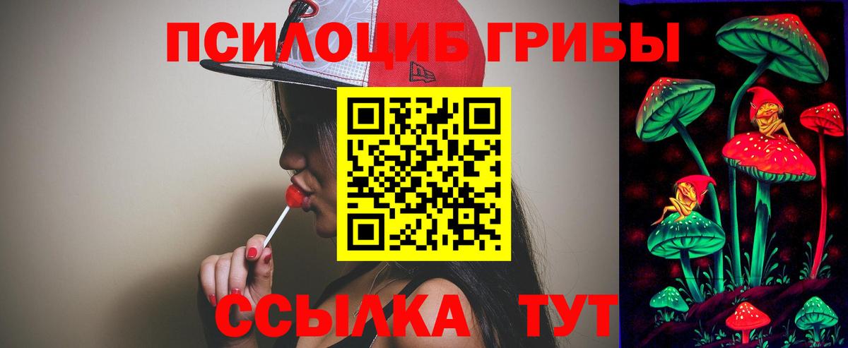 Галлюциногенные грибы Psilocybe Кандалакша